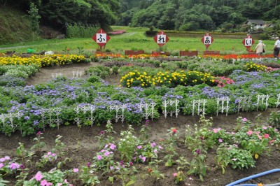 ふれあい花壇